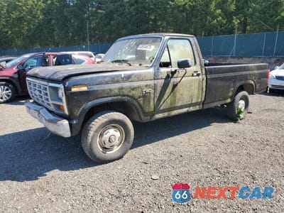 1985 FORD F150 1FTEF14YXFPB36520 - główne zdjęcie licytacji z USA - miniatura