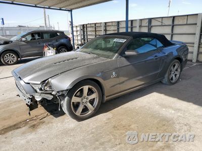 2013 FORD MUSTANG GT 1ZVBP8FF4D5232668 - główne zdjęcie licytacji z USA - miniatura