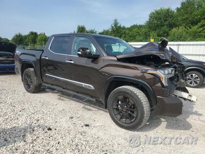 Czwarte zdjęcie samochodu z boku: 2025 TOYOTA TUNDRA CREWMAX PLATINUM VIN:5TFMA5DB5SX254868 - miniatura