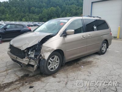 2006 HONDA ODYSSEY EXL 5FNRL38736B452262 - główne zdjęcie licytacji z USA - miniatura