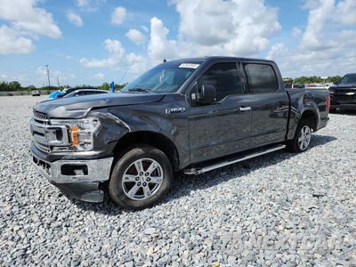 2019 FORD F150 SUPERCREW 1FTEW1CBXKFB58885 - główne zdjęcie licytacji z USA - miniatura