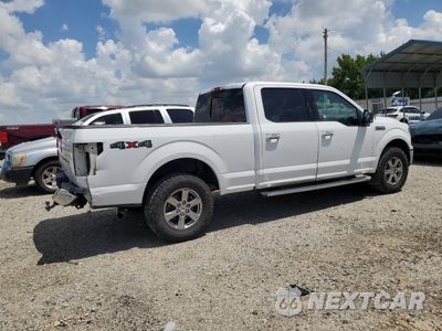 Trzecie zdjęcie samochodu z tyłu: 2020 FORD F150 SUPERCREW VIN:1FTFW1E58LKD66333 - miniatura