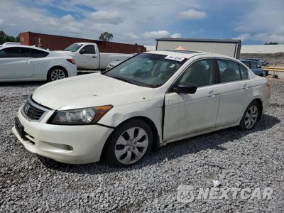 2008 HONDA ACCORD EXL 1HGCP36848A041472 - główne zdjęcie licytacji z USA - miniatura