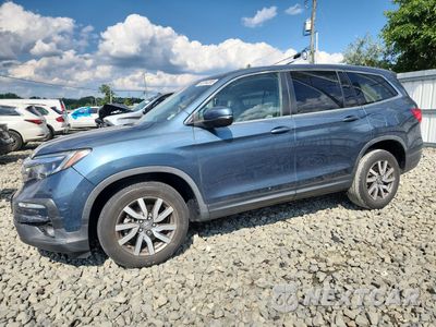 2021 HONDA PILOT EXL 5FNYF6H54MB031392 - główne zdjęcie licytacji z USA - miniatura
