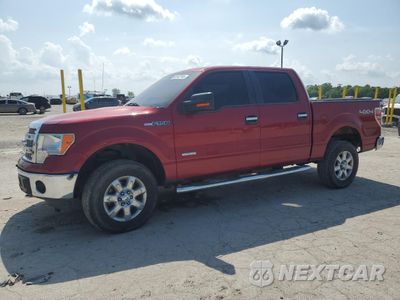 2013 FORD F150 SUPERCREW 1FTFW1ET7DKG08397 - główne zdjęcie licytacji z USA - miniatura
