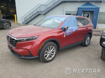 2024 HONDA CR-V EX 2HKRS4H41RH438333 - główne zdjęcie licytacji z USA - miniatura
