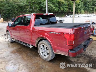 Drugie zdjęcie samochodu z przodu: 2019 FORD F150 SUPERCREW VIN:1FTEW1CP4KKD22179 - miniatura