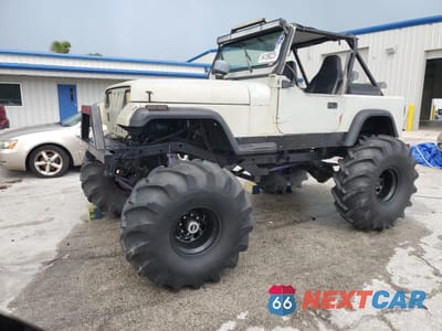 1993 JEEP WRANGLER / YJ 1J4FY29P9PP260732 - główne zdjęcie licytacji z USA - miniatura