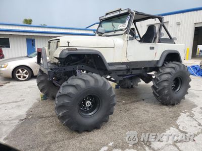 1993 JEEP WRANGLER / YJ 1J4FY29P9PP260732 - główne zdjęcie licytacji z USA - miniatura