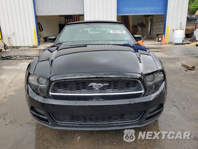 Piąte zdjęcie samochodu w środku: 2014 FORD MUSTANG VIN:1ZVBP8EM1E5308185 - miniatura
