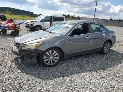 2011 HONDA ACCORD EX 1HGCP2F75BA088681 - główne zdjęcie licytacji z USA - miniatura