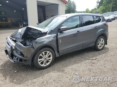 2017 FORD ESCAPE SE 1FMCU9G95HUE61429 - główne zdjęcie licytacji z USA - miniatura