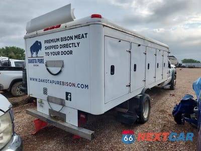 Trzecie zdjęcie samochodu z tyłu: 2016 FORD F-450 SD - REFRIGERATOR TRUCK *** PRIOR FLEET *** VIN:1FDUF4GY6GEA85129 - miniatura