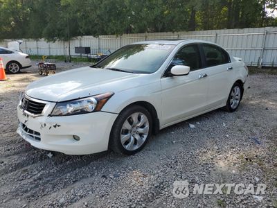 2008 HONDA ACCORD EXL 1HGCP36878A059075 - główne zdjęcie licytacji z USA - miniatura