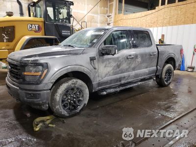 2024 FORD F150 XLT 1FTFW3LD3RFB79086 - główne zdjęcie licytacji z USA - miniatura