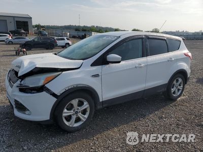 2016 FORD ESCAPE SE 1FMCU9GX5GUC20922 - główne zdjęcie licytacji z USA - miniatura