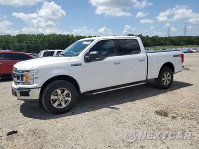 2020 FORD F150 SUPERCREW 1FTFW1E58LKD66333 - główne zdjęcie licytacji z USA - miniatura