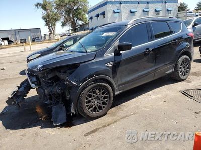 2019 FORD ESCAPE 1FMCU9HD2KUB66721 - główne zdjęcie licytacji z USA - miniatura