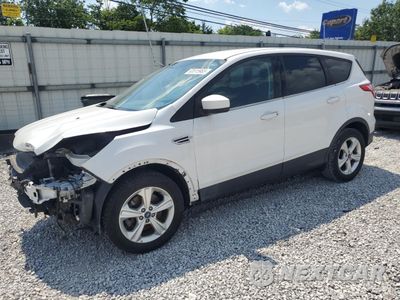 2013 FORD ESCAPE SE 1FMCU9GX4DUD25026 - główne zdjęcie licytacji z USA - miniatura