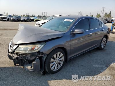 2013 HONDA ACCORD EXL 1HGCR3F87DA044323 - główne zdjęcie licytacji z USA - miniatura