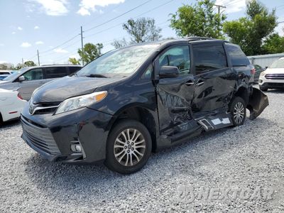 2019 TOYOTA SIENNA XLE 5TDYZ3DC4KS979391 - główne zdjęcie licytacji z USA - miniatura