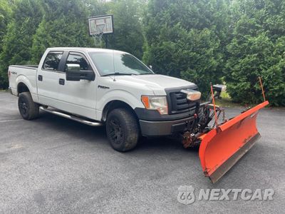 2010 FORD F150 SUPERCREW 1FTEW1E84AFD59603 - główne zdjęcie licytacji z USA - miniatura