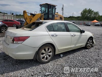 Trzecie zdjęcie samochodu z tyłu: 2008 HONDA ACCORD EXL VIN:1HGCP36848A041472 - miniatura