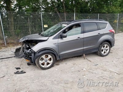 2014 FORD ESCAPE SE 1FMCU0G91EUE36860 - główne zdjęcie licytacji z USA - miniatura