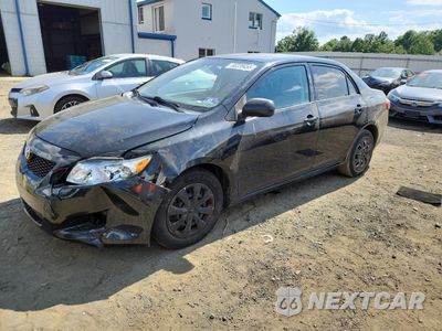 2010 TOYOTA COROLLA BASE 1NXBU4EE3AZ330746 - główne zdjęcie licytacji z USA - miniatura