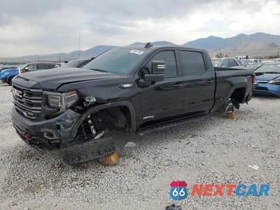 2025 GMC SIERRA K1500 AT4 3GTUUEE85SG251029 - główne zdjęcie licytacji z USA - miniatura