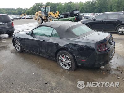 Drugie zdjęcie samochodu z przodu: 2014 FORD MUSTANG VIN:1ZVBP8EM1E5308185 - miniatura