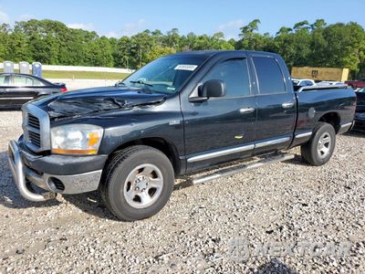 2006 DODGE RAM 1500 ST 1D7HA18246J110599 - główne zdjęcie licytacji z USA - miniatura