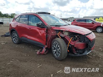 Czwarte zdjęcie samochodu z boku: 2020 FORD ESCAPE SE SPORT VIN:1FMCU9BZ1LUA63408 - miniatura