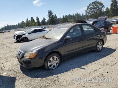 2009 KIA SPECTRA EX KNAFE222995667538 - główne zdjęcie licytacji z USA - miniatura