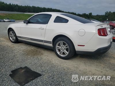 Drugie zdjęcie samochodu z przodu: 2010 FORD MUSTANG VIN:1ZVBP8AN9A5146864 - miniatura