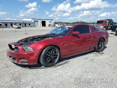 2014 FORD MUSTANG GT 1ZVBP8CF8E5318121 - główne zdjęcie licytacji z USA - miniatura
