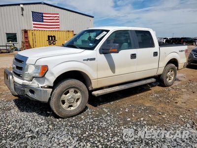 2013 FORD F150 SUPERCREW 1FTFW1EFXDKF38274 - główne zdjęcie licytacji z USA - miniatura