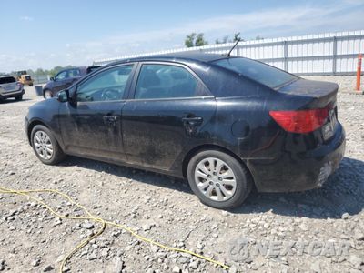 Drugie zdjęcie samochodu z przodu: 2011 KIA FORTE EX VIN:KNAFU4A21B5436803 - miniatura