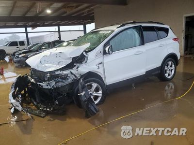 2013 FORD ESCAPE SE 1FMCU0GX1DUB33218 - główne zdjęcie licytacji z USA - miniatura