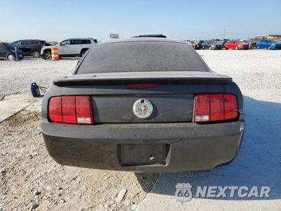 Zdjęcie 6 z 14 samochodu: 2009 FORD MUSTANG VIN:1ZVHT80N195144898 - miniatura
