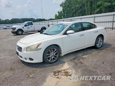 2010 NISSAN MAXIMA 3.5 S 1N4AA5AP2AC853418 - główne zdjęcie licytacji z USA - miniatura