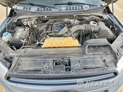 Zdjęcie 11 z 12 samochodu: 2019 FORD F150 SUPERCREW VIN:1FTEW1E51KKC27185 - miniatura