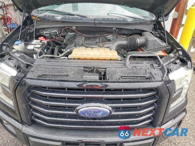 Zdjęcie 11 z 12 samochodu: 2017 FORD F150 SUPERCREW VIN:1FTEW1CP1HFA41894 - miniatura