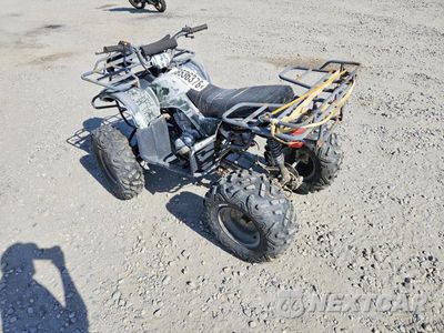 Trzecie zdjęcie samochodu z tyłu: 2015 TOYOTA ATA250-D ATV VIN:L5NABMTU9F1009597 - miniatura