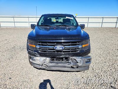Piąte zdjęcie samochodu w środku: 2024 FORD F150 XLT VIN:1FTFW3LD4RFA25308 - miniatura