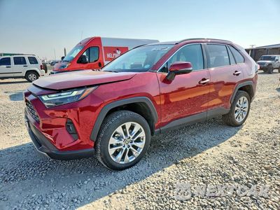 2025 TOYOTA RAV4 LIMITED 2T3N1RFV9SW601187 - główne zdjęcie licytacji z USA - miniatura
