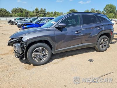2025 HYUNDAI TUCSON BLUE KM8JBDD11SU290457 - główne zdjęcie licytacji z USA - miniatura