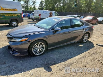 2019 TOYOTA CAMRY XLE 4T1B11HK6KU163468 - główne zdjęcie licytacji z USA - miniatura
