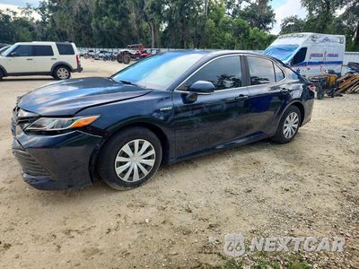2019 TOYOTA CAMRY LE 4T1B31HK3KU514816 - główne zdjęcie licytacji z USA - miniatura