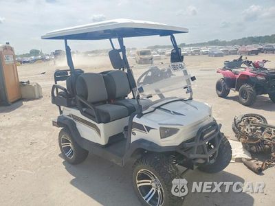2023 TAOI GOLF CART L9NAC5KW48VP50553 - główne zdjęcie licytacji z USA - miniatura
